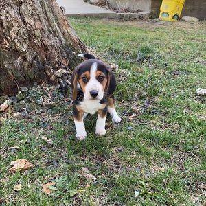 Meet your Posher, Delaney